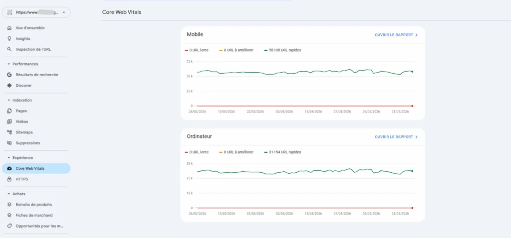 Rapport Core Web Vitals Google Search Console 