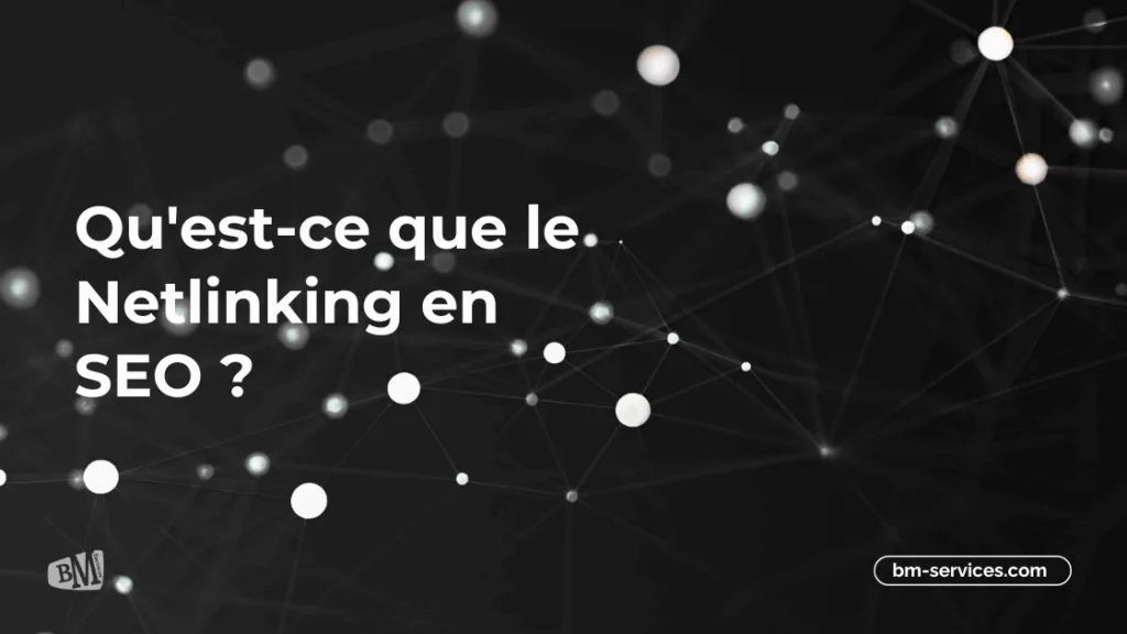 Définition Netlinking