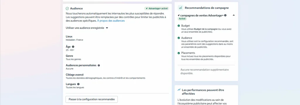 Audiences Meta Aventage+ 